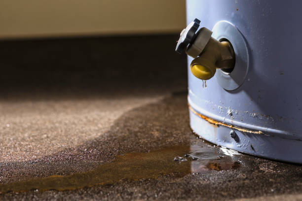 Best Water damage restoration near me  in Hillsborough, NJ