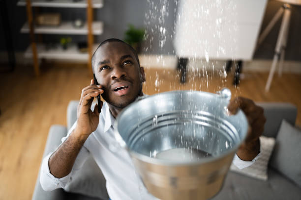 Best Carpet water damage restoration  in Hillsborough, NJ
