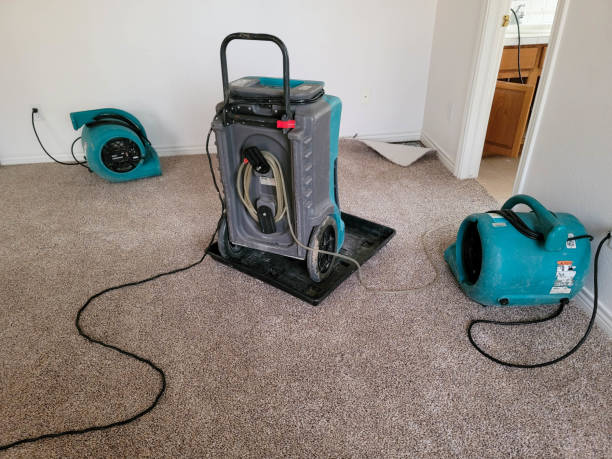 Best Professional water damage repair  in Hillsborough, NJ