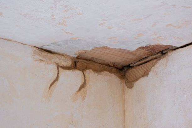 Best Residential water damage restoration  in Hillsborough, NJ