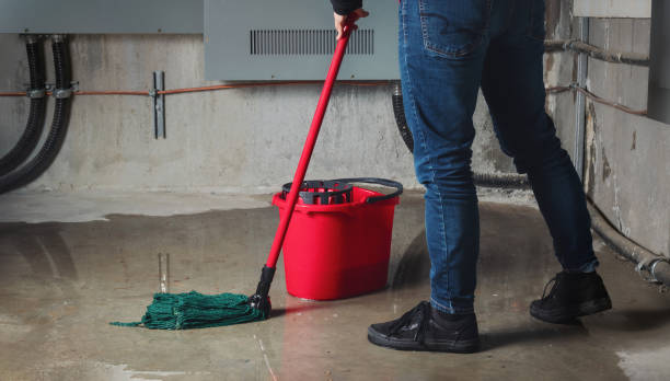 Best Residential water damage restoration  in Hillsborough, NJ