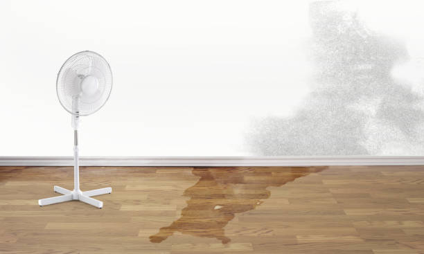 Best Fire Damage Restoration  in Hillsborough, NJ