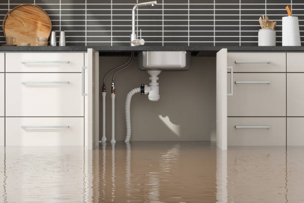 Best 24-hour water damage restoration  in Hillsborough, NJ